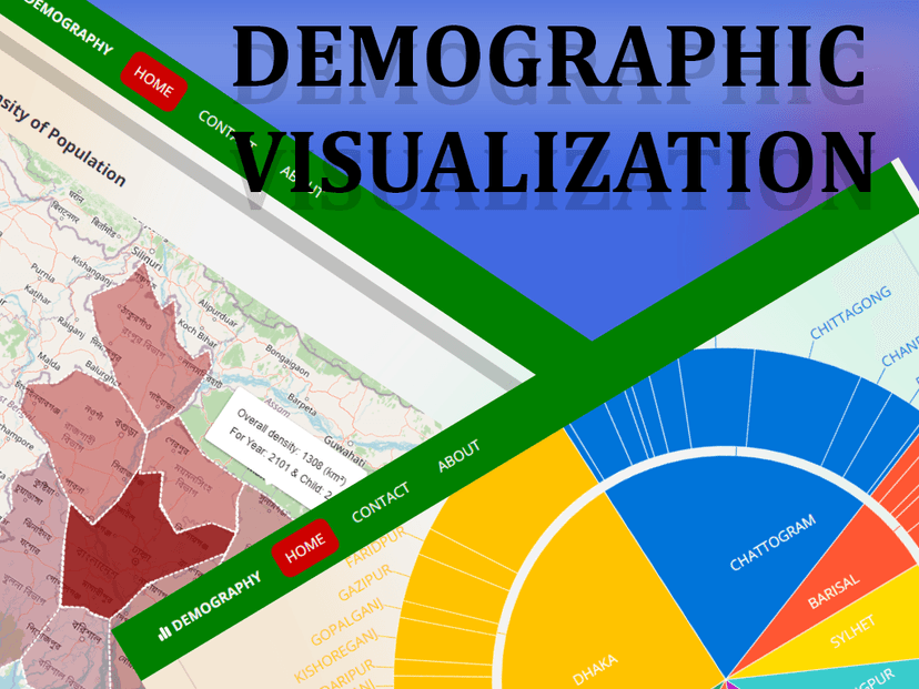 Demographic Visualization